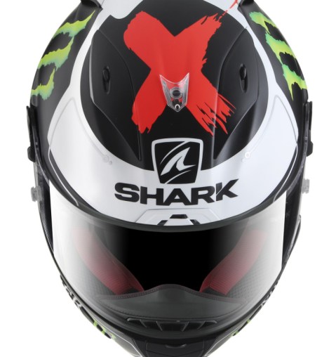 lorenzo-shark-2